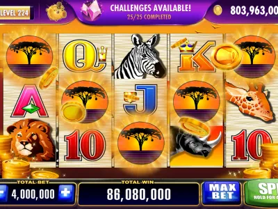 Interface Principal do App 333bet1